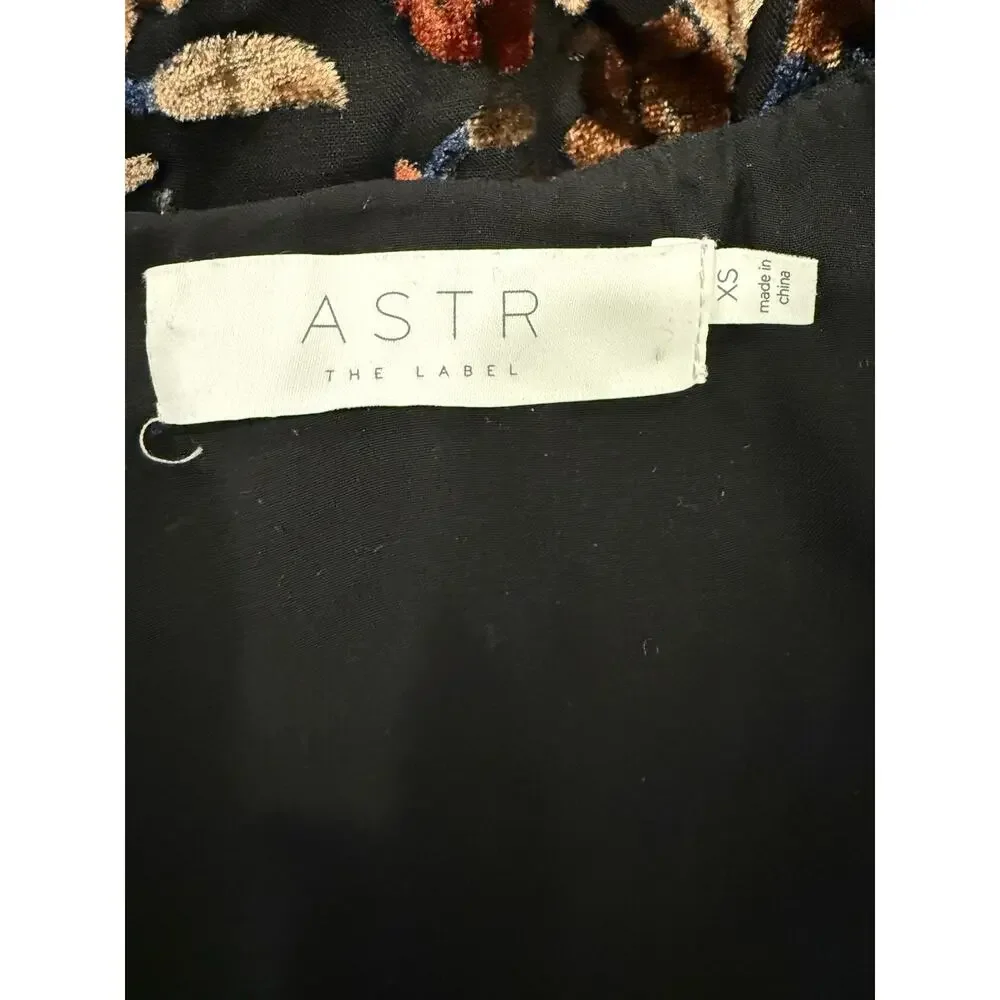 ASTR the Label Top Womens Sz XS Velvet Burnout Boho Whimsigoth Surplice Blouse - Picture 8 of 10